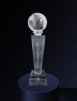 川藏行業(yè)優(yōu)秀服務(wù)團隊獎